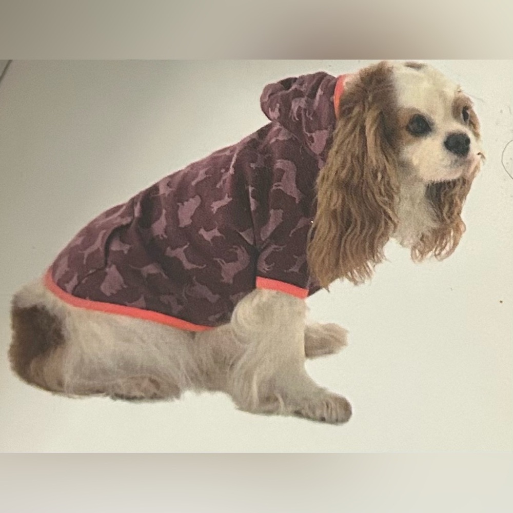 🆕Martha Stewart Pets Sz M Dog Hoodie